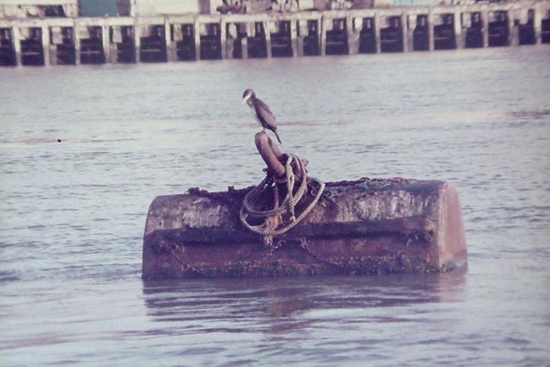 PICT0014