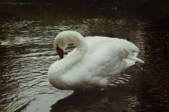 PICT0104