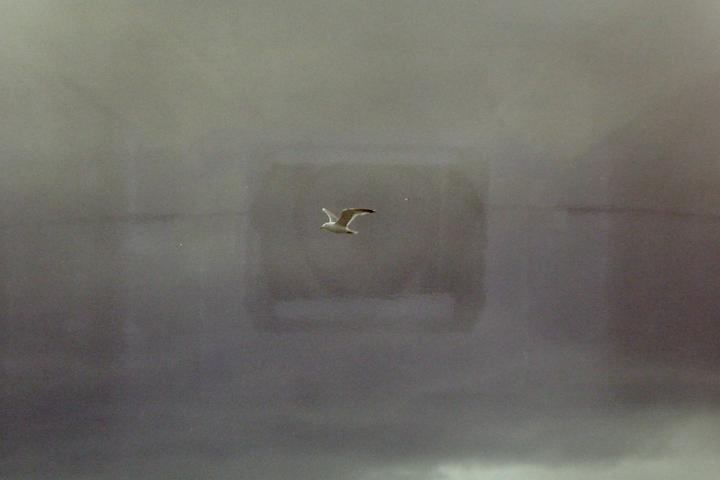 PICT0052