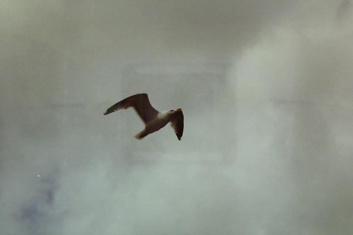 PICT0053