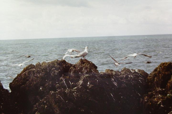 PICT0019