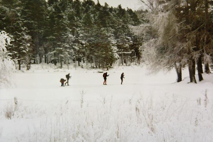 PICT0016
