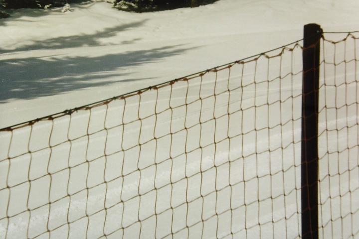 PICT0004