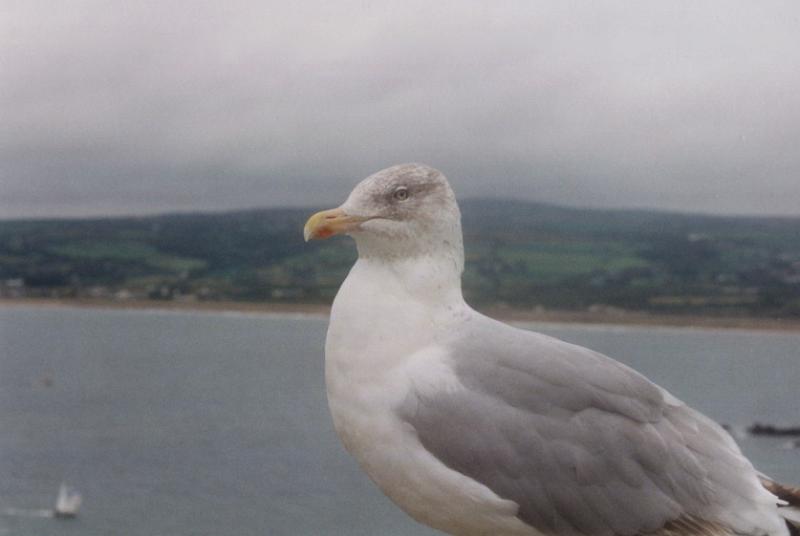 63