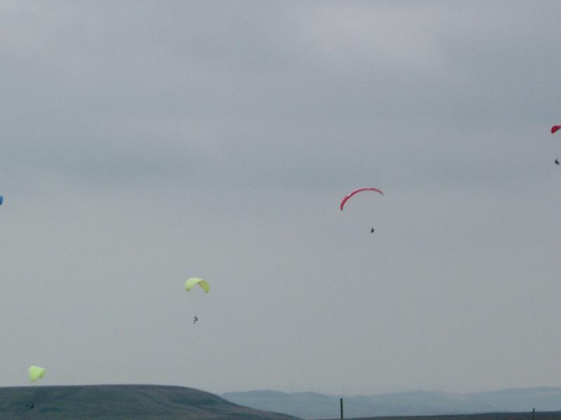 IMGP0148