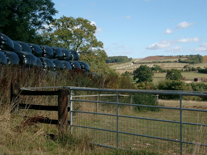 IMGP1158