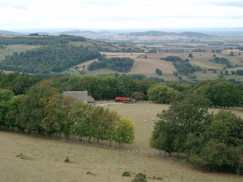 IMGP1165