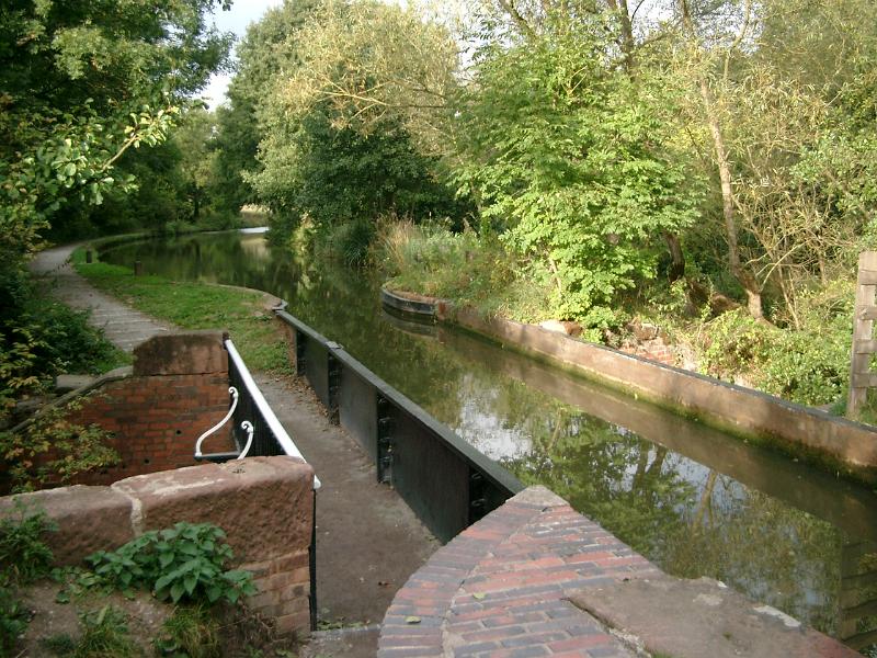 IMGP1070