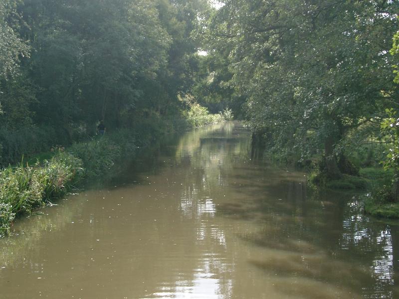 IMGP1089