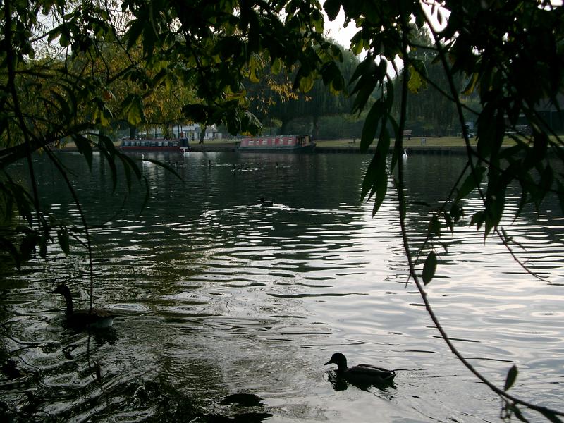 IMGP1110
