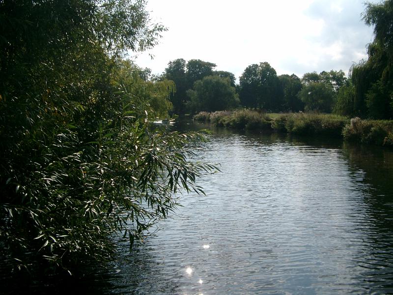 IMGP1117