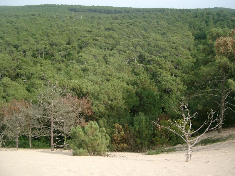 IMGP2809