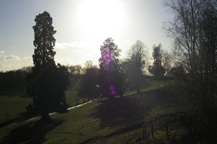 IMGP0121