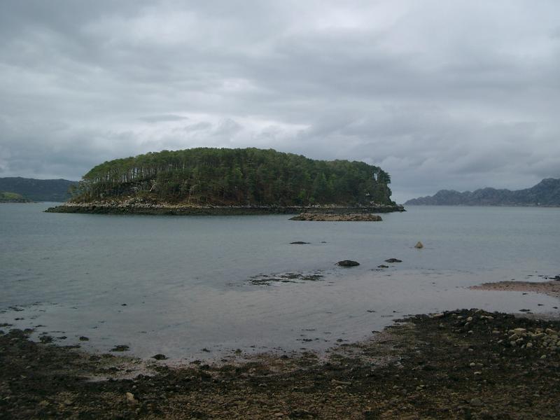 IMGP1907