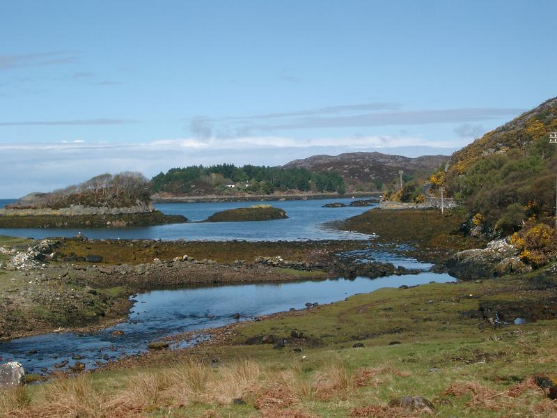 IMGP1931