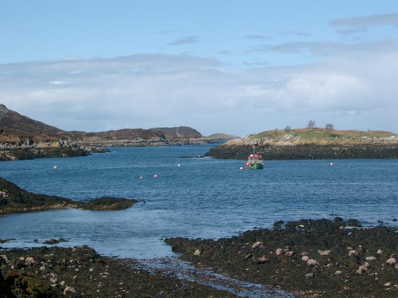 IMGP1942