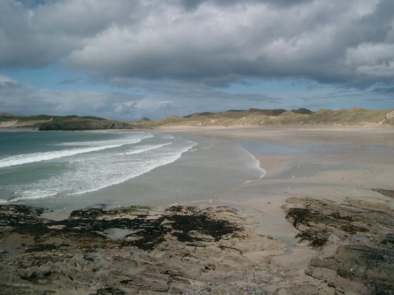 IMGP1966
