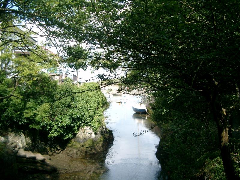 IMGP2413