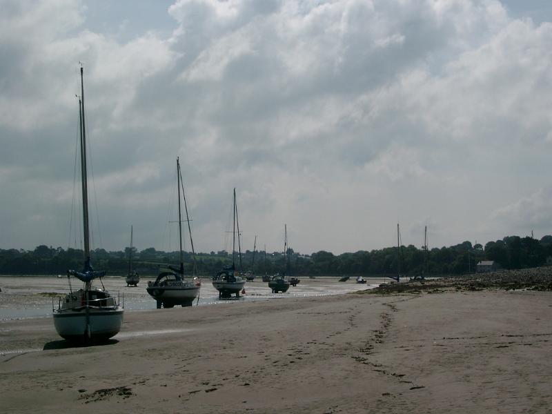 IMGP2423