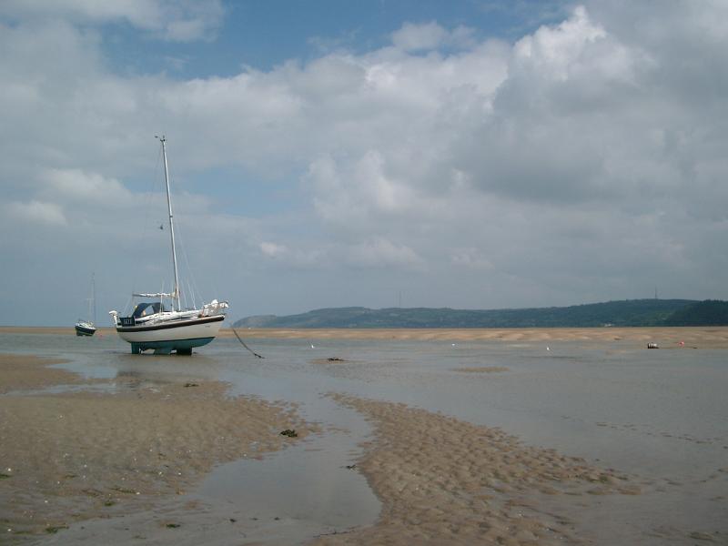 IMGP2425