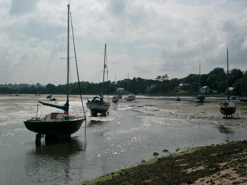 IMGP2426