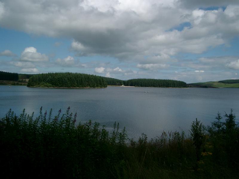 IMGP2464