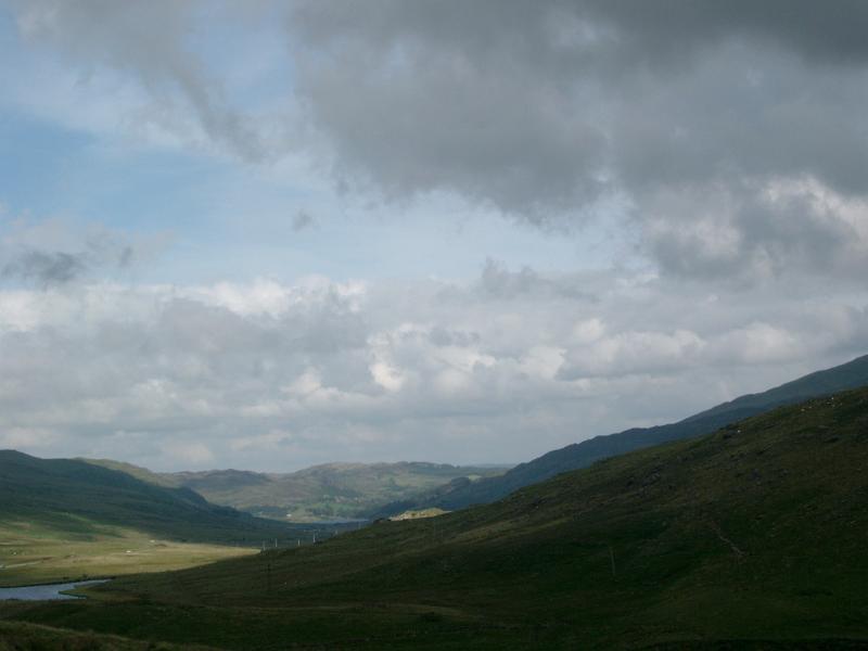 IMGP2490