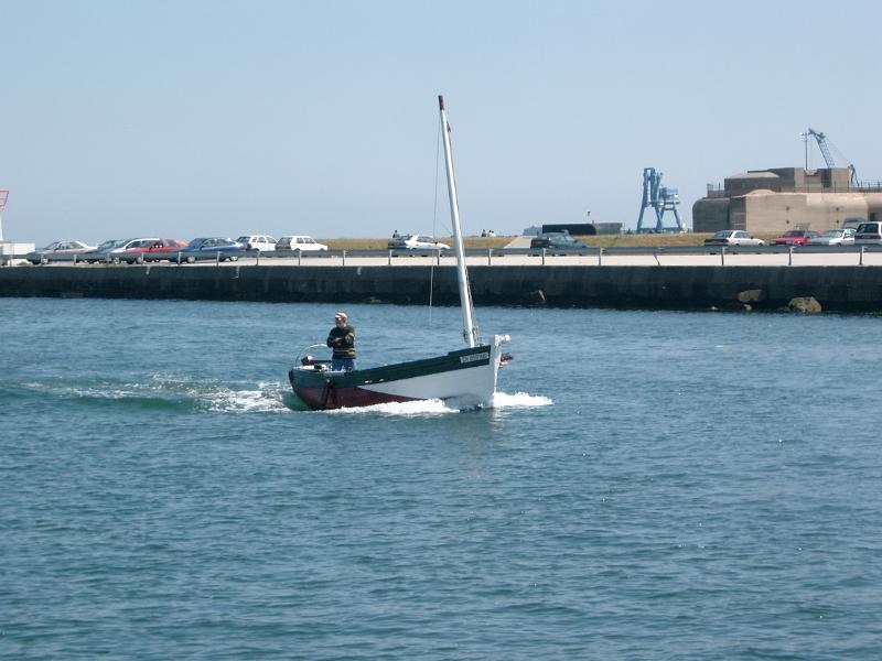 IMGP2223