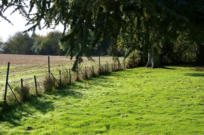 IMGP1160