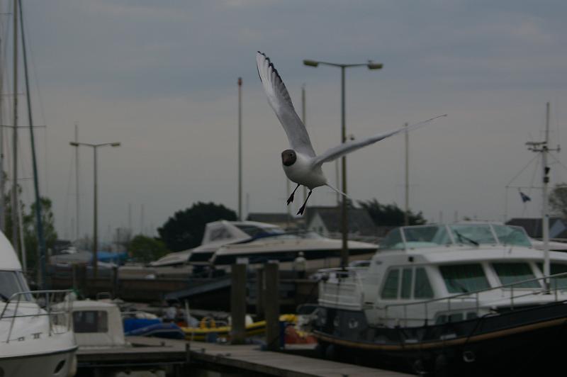 IMGP0479
