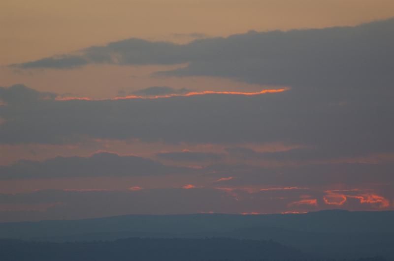 IMGP0354