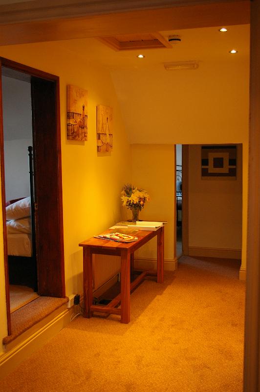 IMGP2447