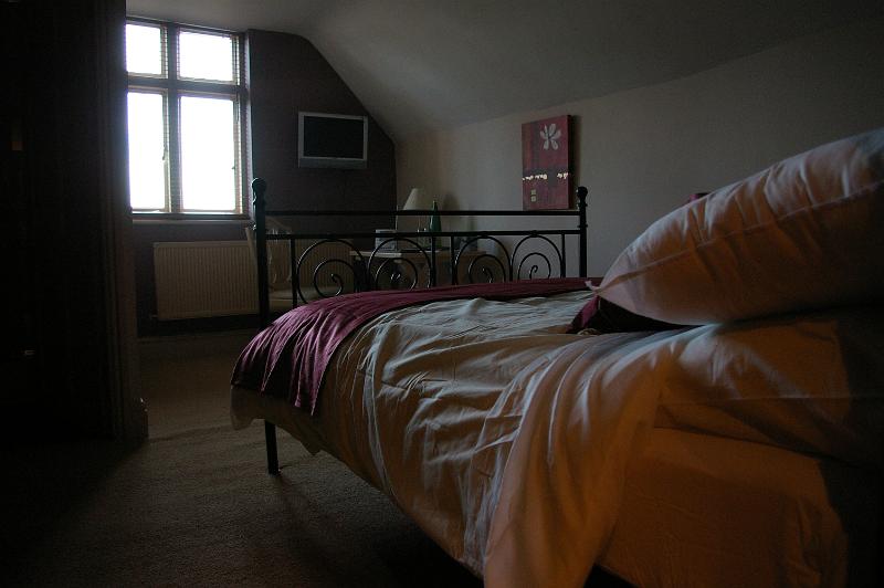 IMGP2451