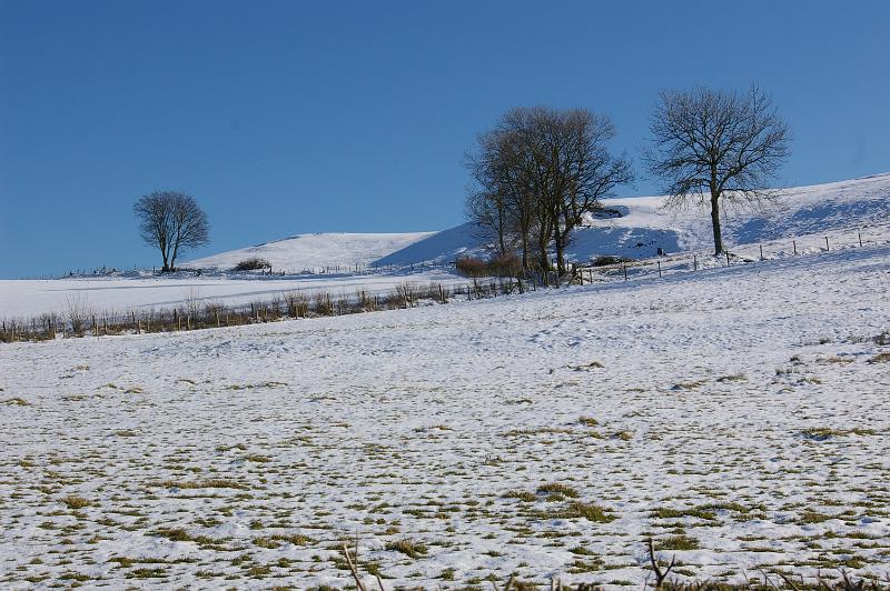 IMGP1461