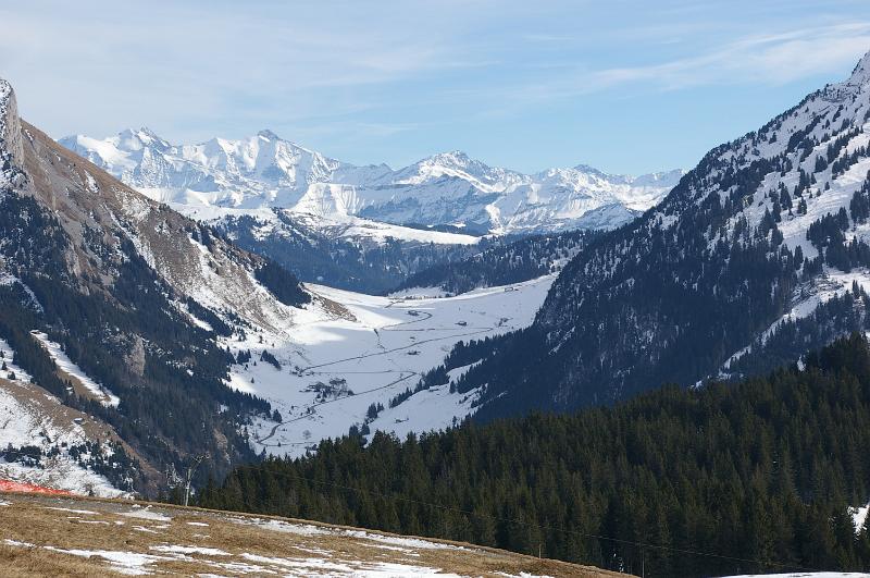 IMGP2552