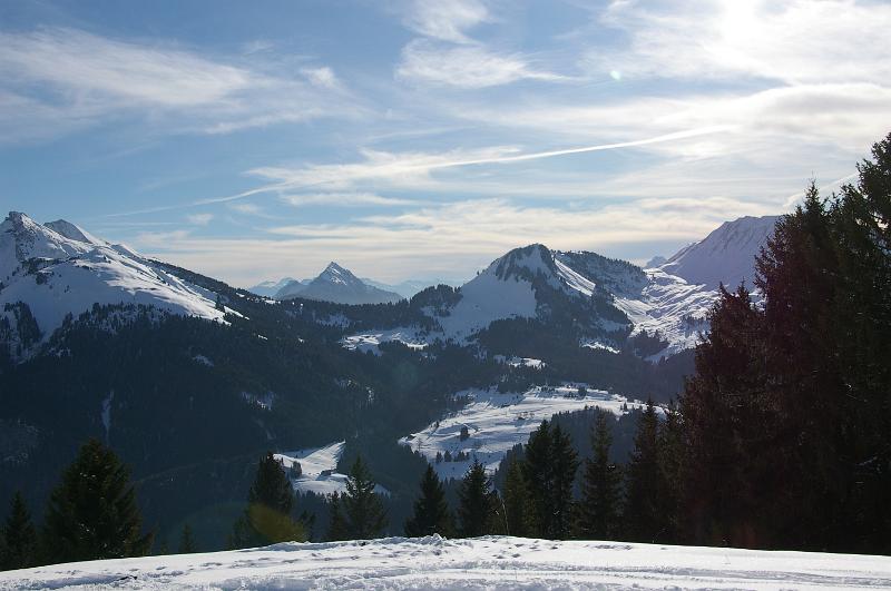 IMGP2570