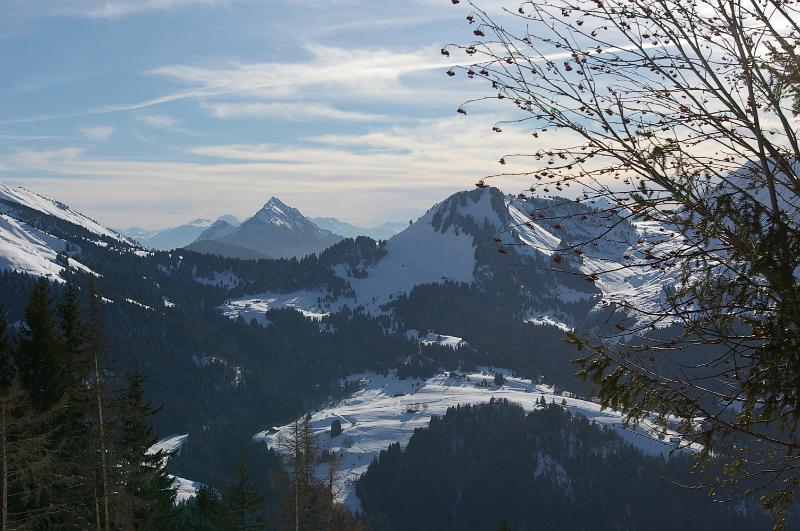 IMGP2575