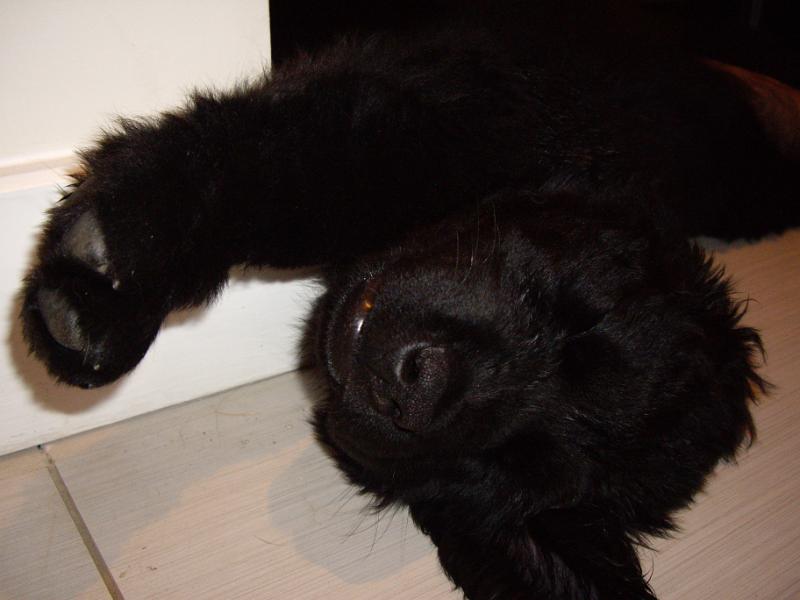 IMGP3936