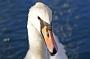 142